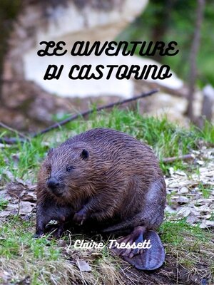 cover image of Le avventure di Castorino